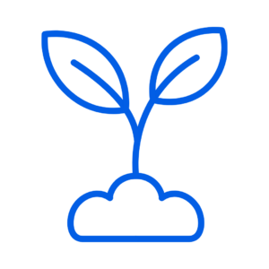 Starter & Growth Packages